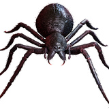 Sonhar com aranha preta: grande, caranguejeira e mais tipos