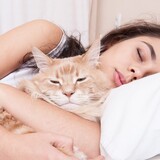 O que significa sonhar com gato? Descubra aqui!