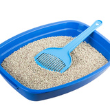 Como fazer areia para gato de serragem, farinha, fubá e mais