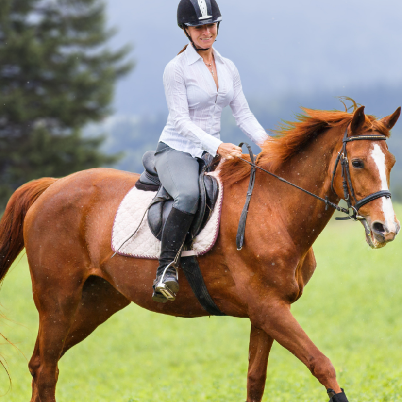 Esportes com cavalos: conheça a doma, vaquejada e muito mais