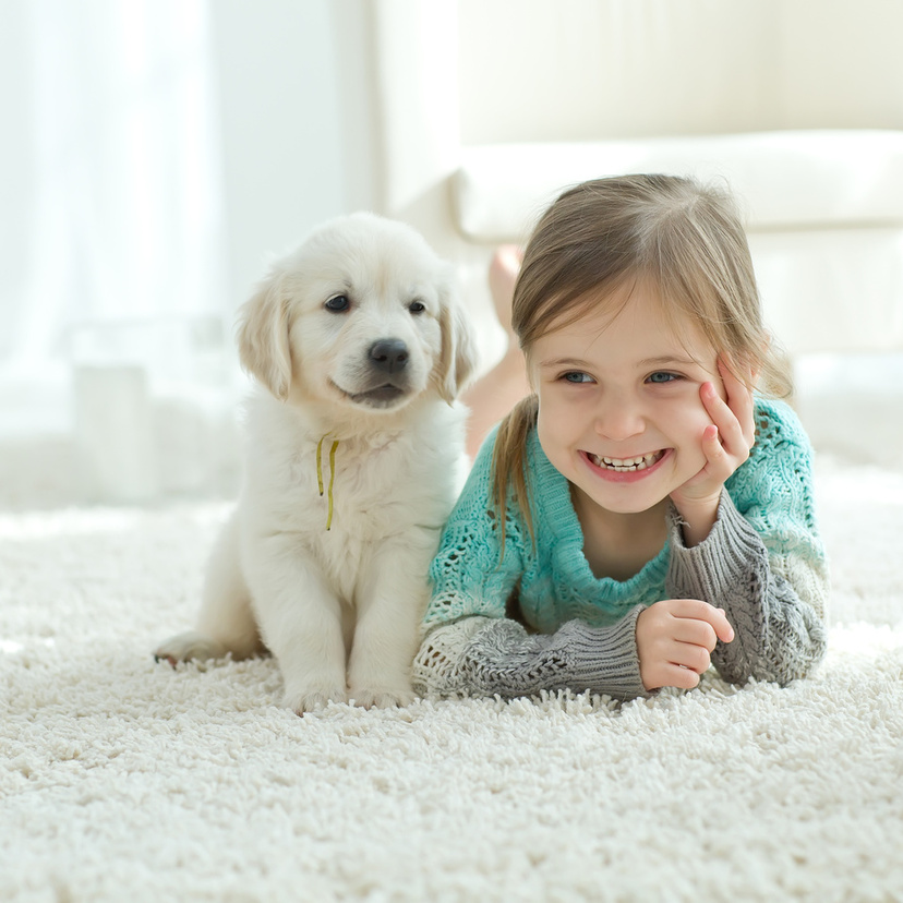 Melhores raças de cachorro para crianças: conheça 30 opções