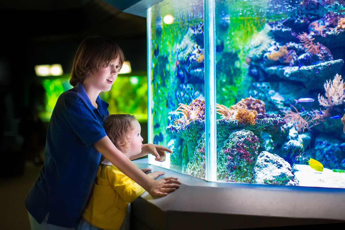 Crianças em frente a um aquário.