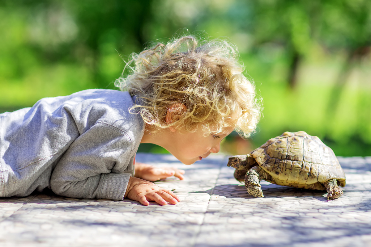 Criança e tartaruga de estimação