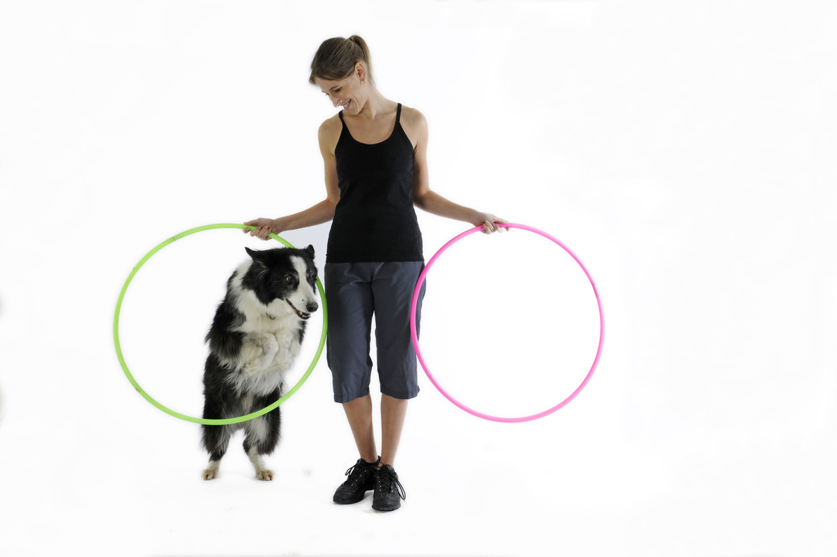 Mulher adestrando cachorro com dois arcos