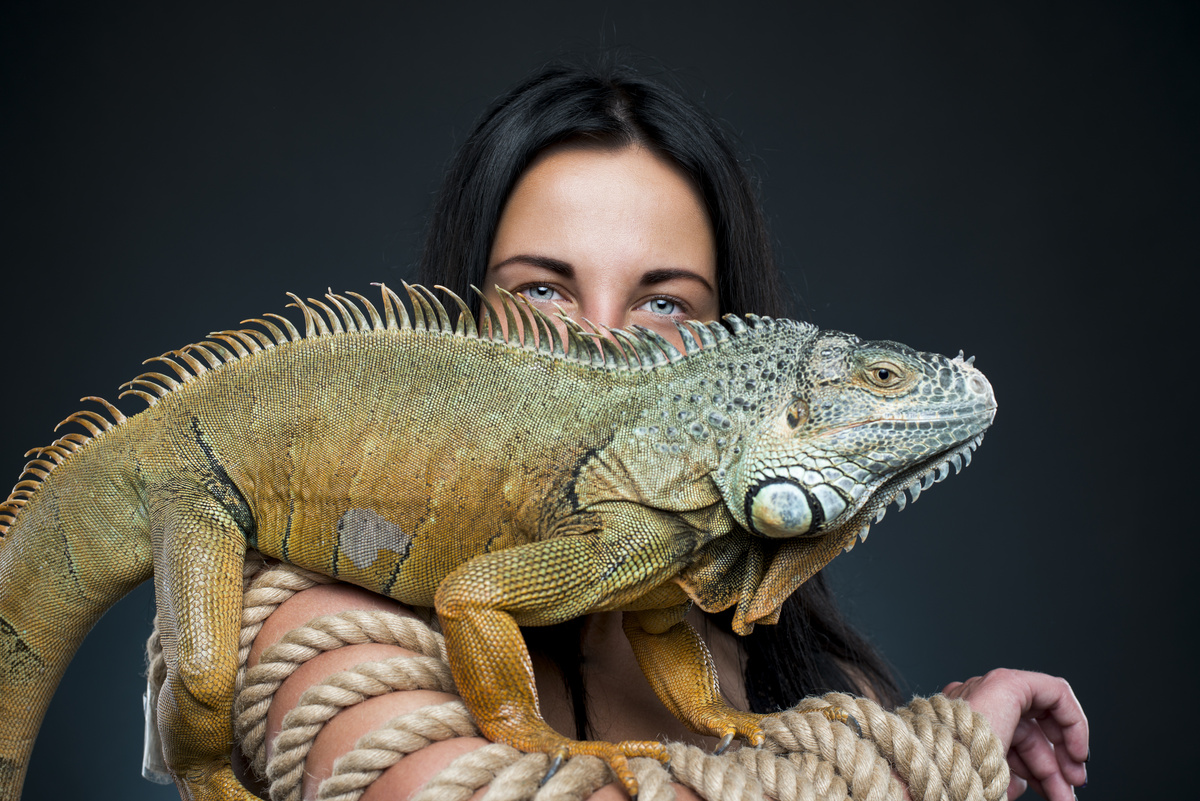 Mulher segurando iguana de estimação