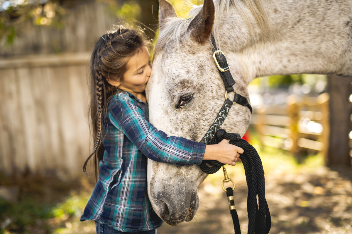Cavalo sendo abraçado por menina