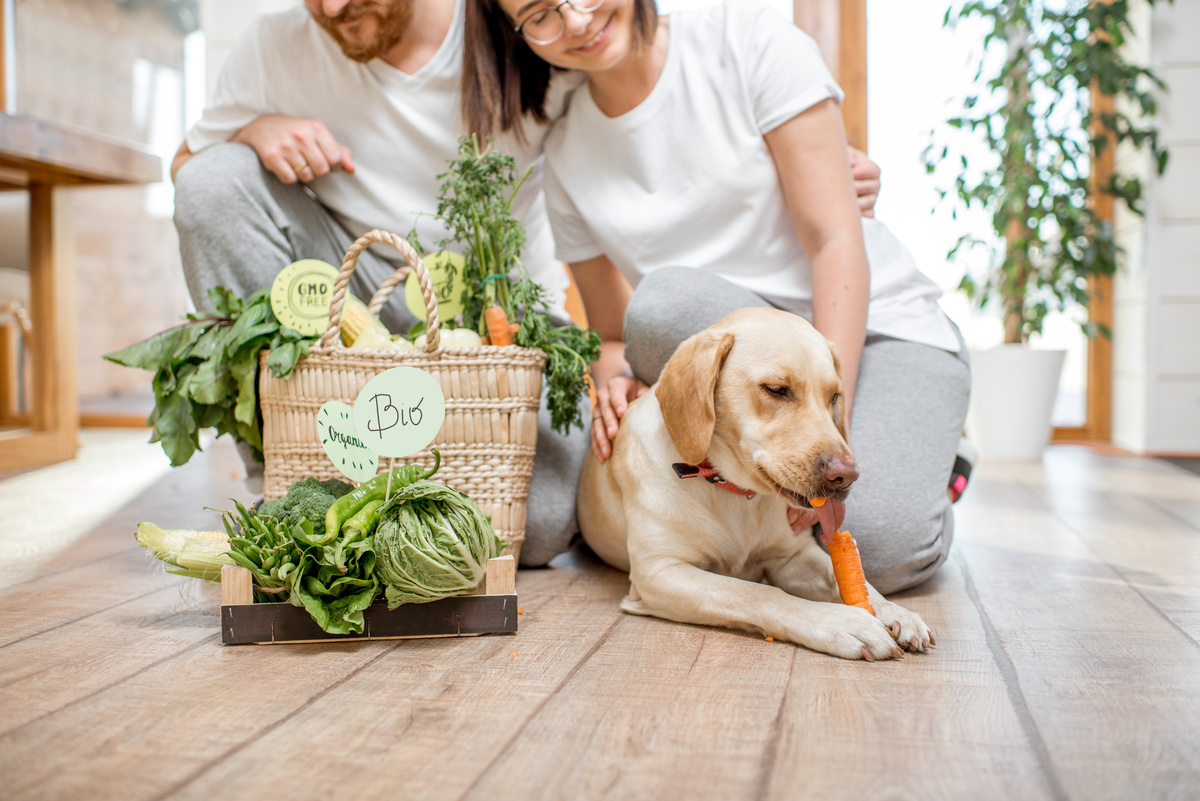 Casal oferecendo legumes ao cachorro