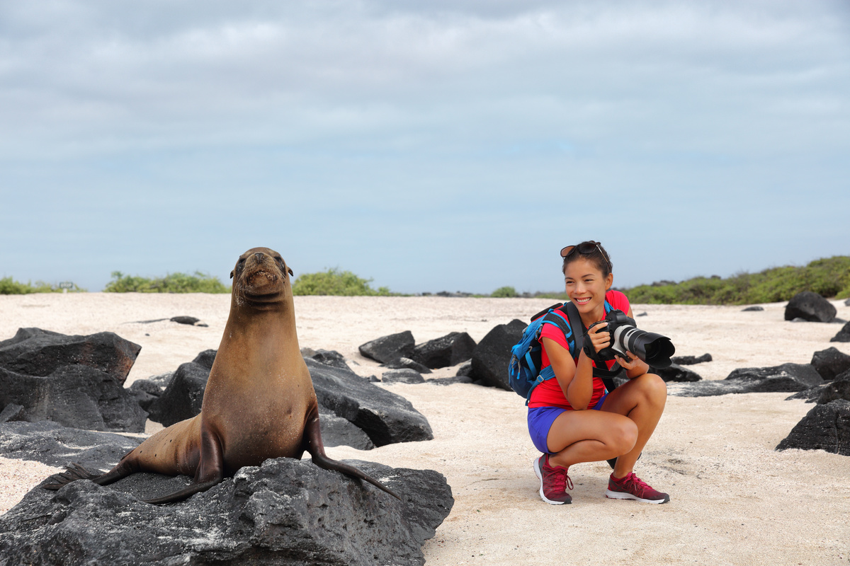 Mulher com maquina fotografica nas mãos ao lado de leão marinho da praia