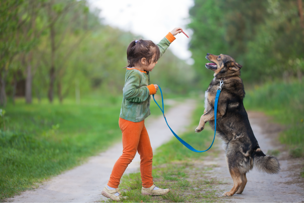 Criança adestrando cãozinho