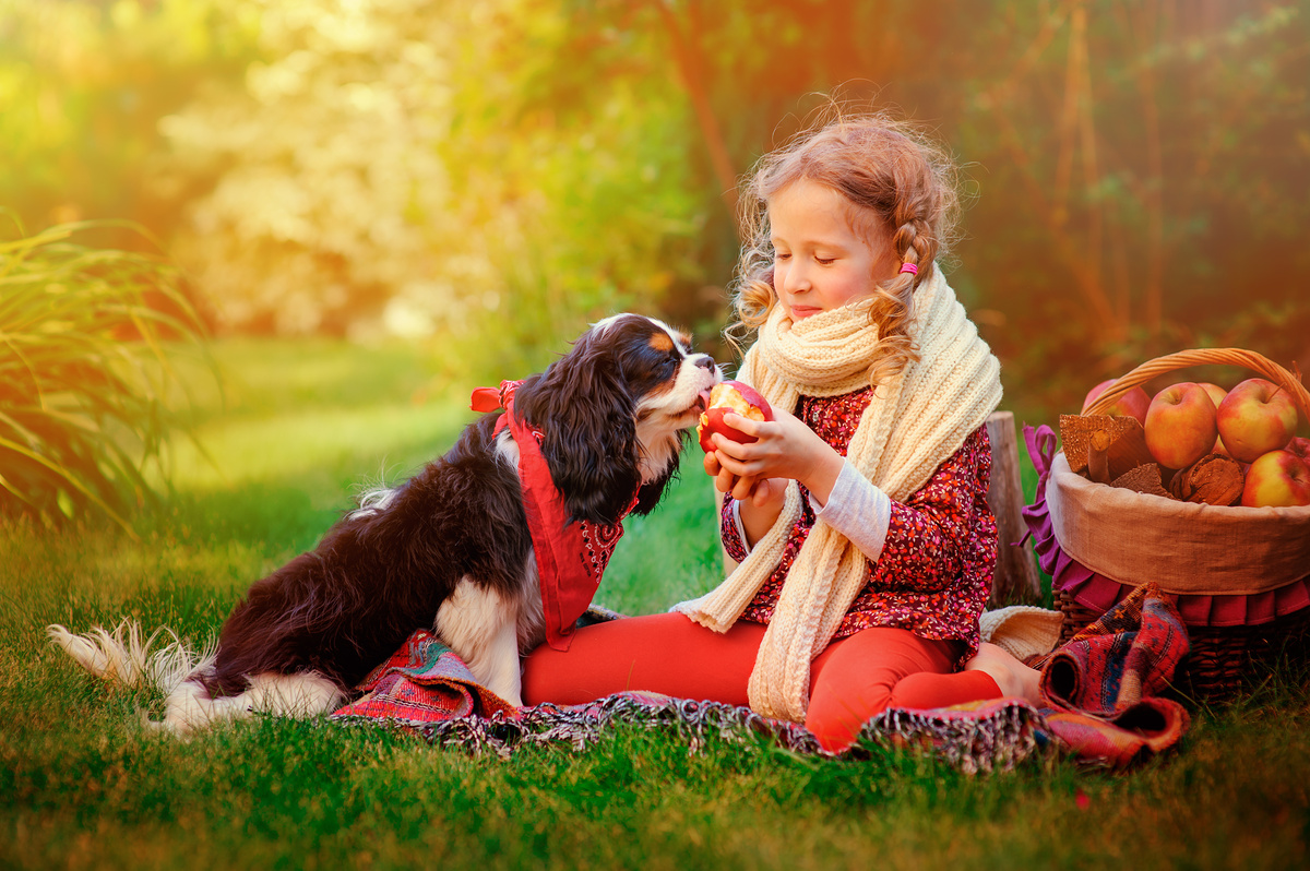 Garota dando maçã ao cão no parque