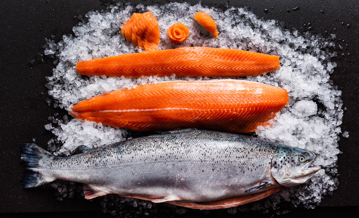 Peixe salmão  inteiro e ao lado a carne do peixe