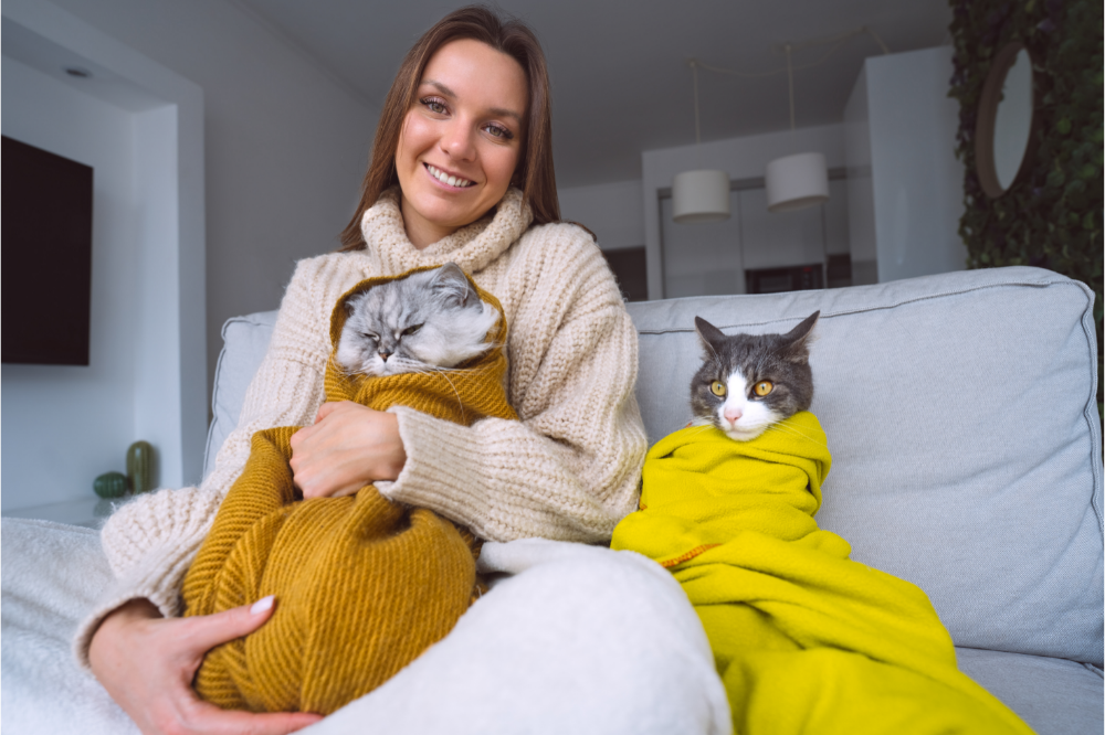 Dois gatos enrolados no cobertor e no colo de uma mulher