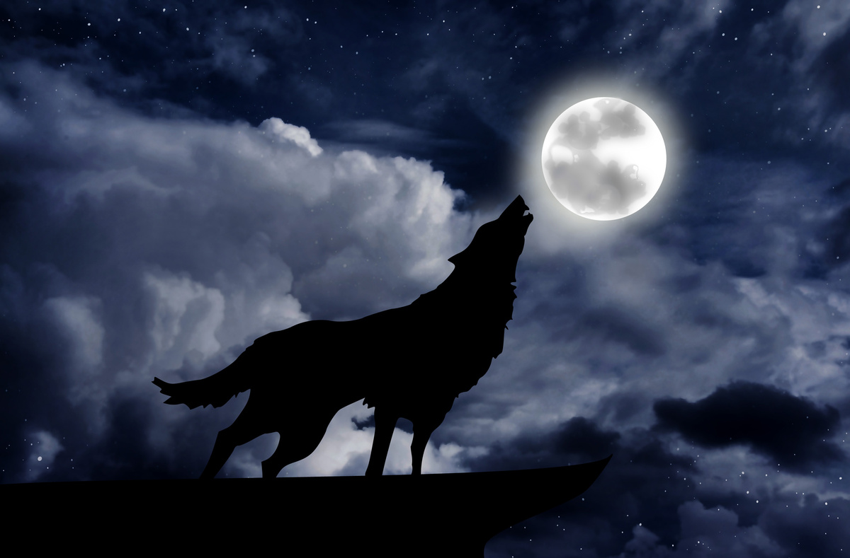 Cachorro uivando com lua ao fundo