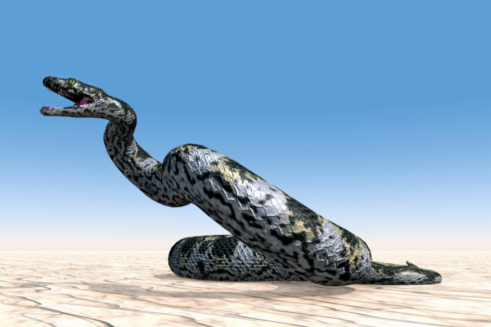 ilustração da Titanoboa: a cobra gigante