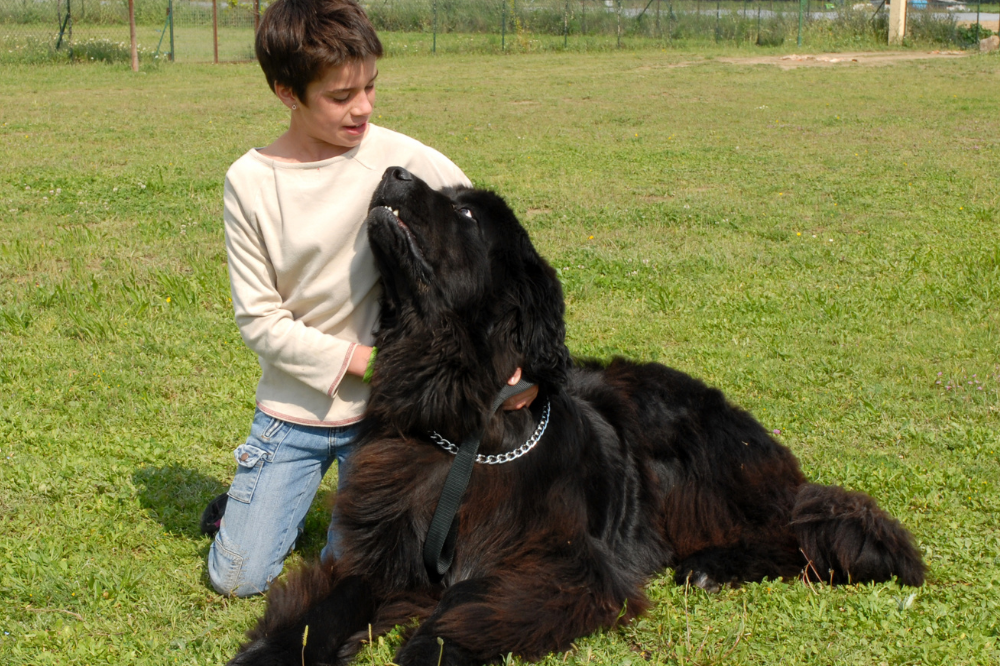 Mulher com um grande cão preto na grama