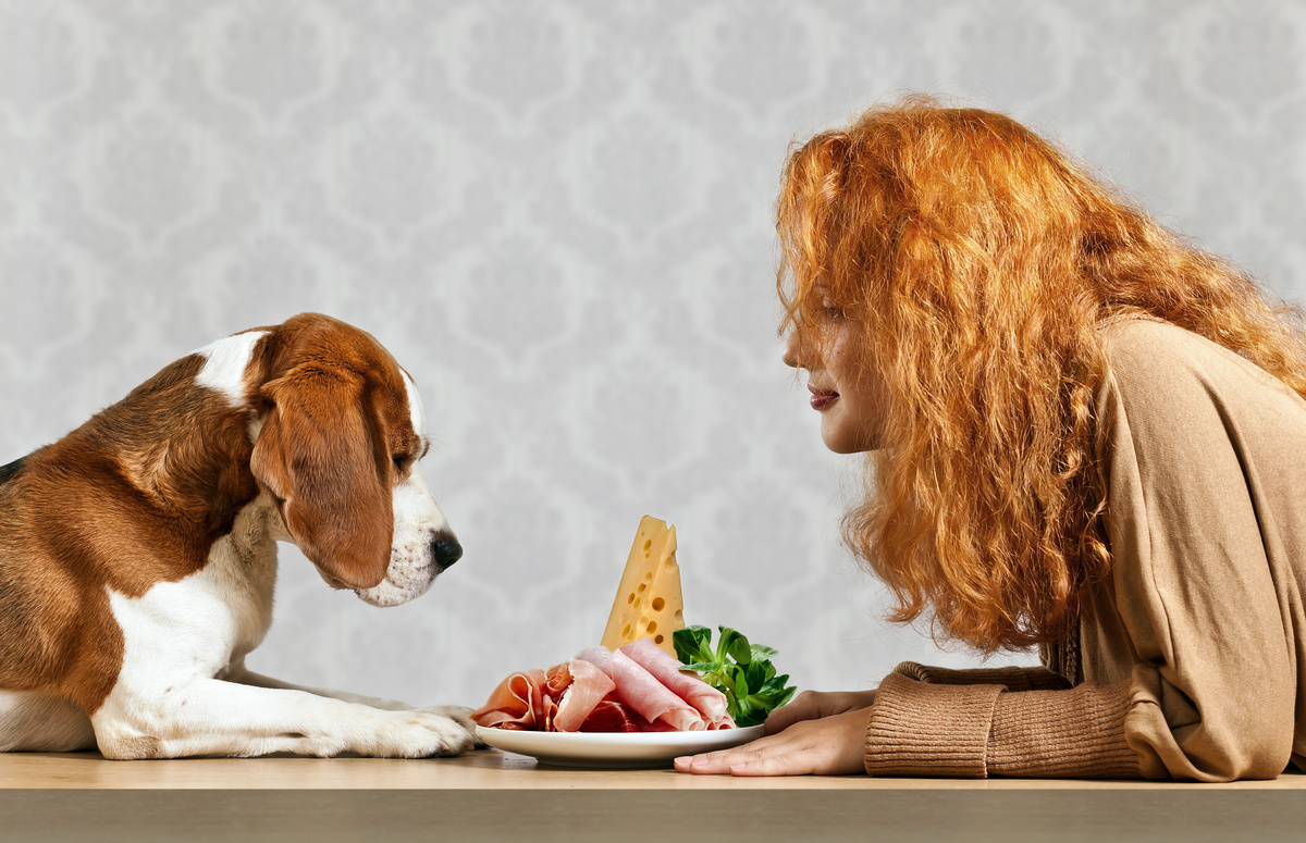 Mulher e cachorro com prato cheio de presunto