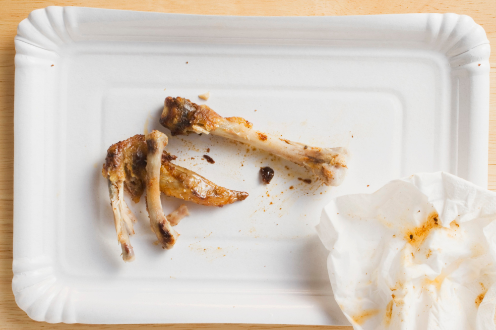 ossos de galinha em um prato