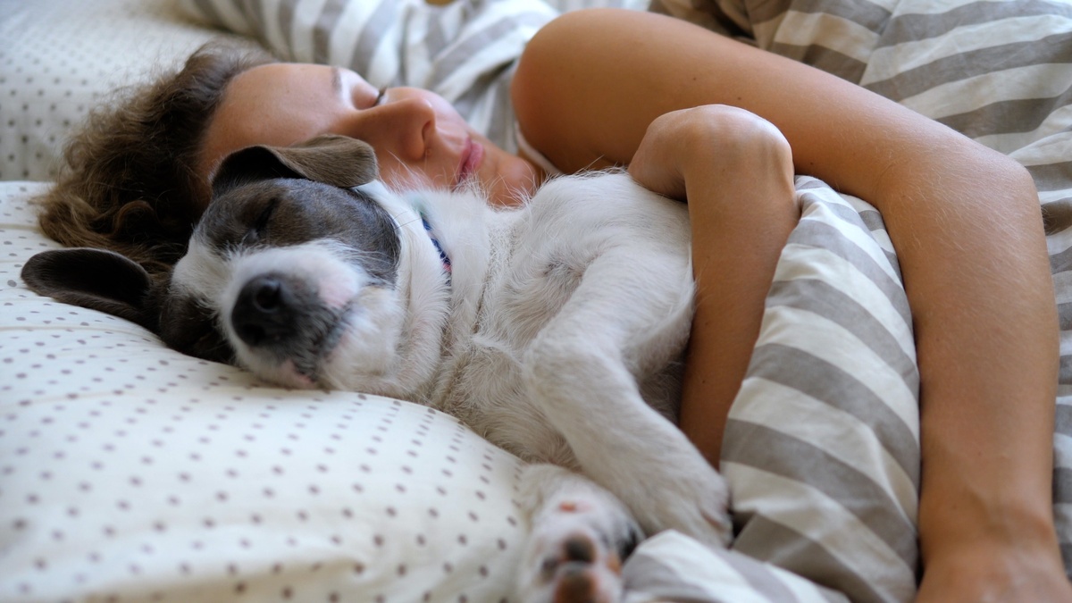 Humano e cachorro abraçados dormindo
