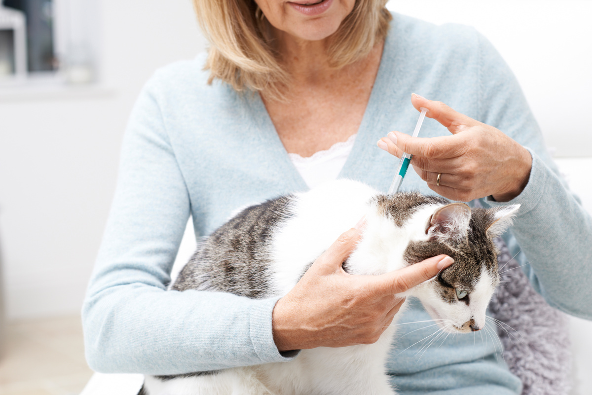 Mulher aplicando remédio no seu gato